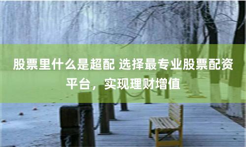 股票里什么是超配 选择最专业股票配资平台，实现理财增值